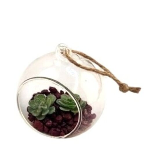 Hanging Glass Ball With Black Metal Stand For Succulents , Air Plants, Tea Light - Picture 2 of 10